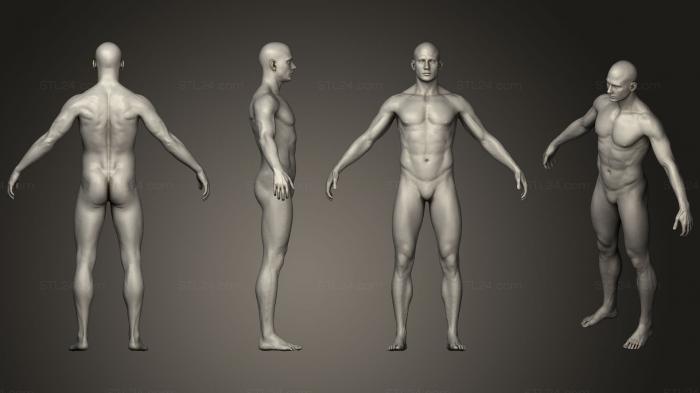 Анатомия скелеты и черепа (Скульптура мужского тела 2, ANTM_0774) 3D модель для ЧПУ станка